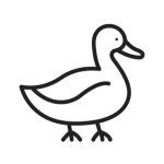 Плат DUCK 